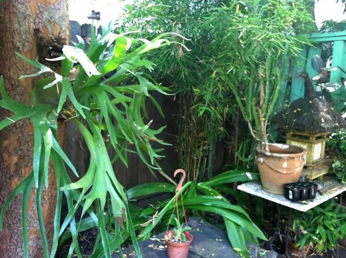 Tropical Bohemian One Bedroom In The Hollywood Hills Apartamento Los Ángeles