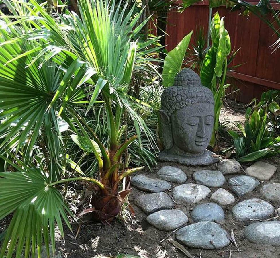 Tropical Bohemian One Bedroom In The Hollywood Hills Apartamento Los Ángeles